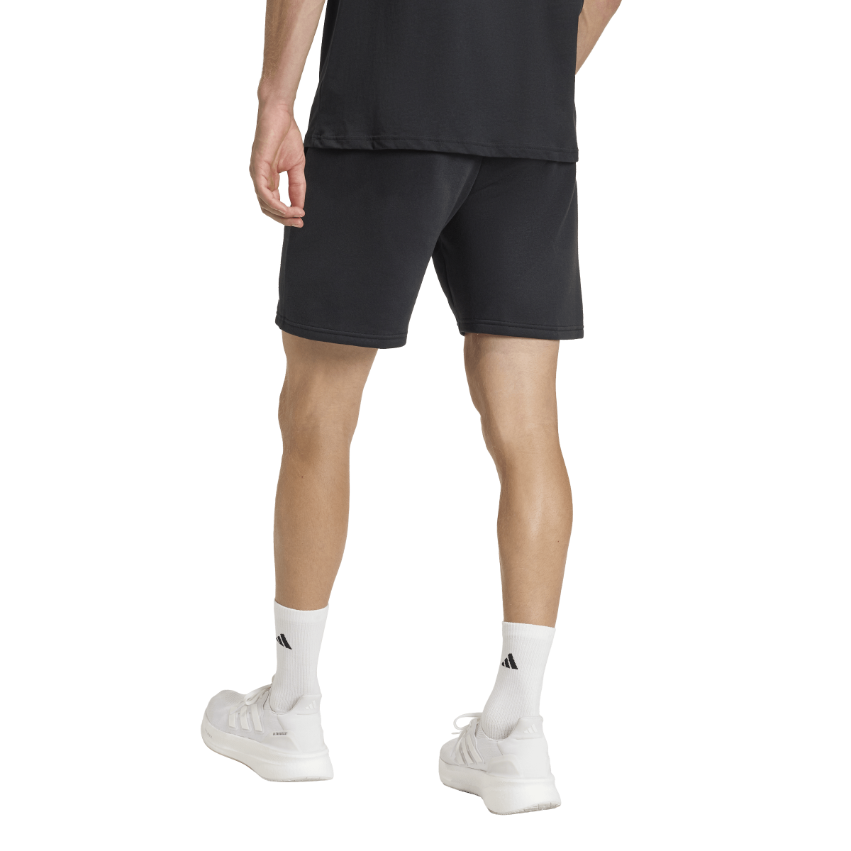 Adidas Entrada26 Sweat Shorts