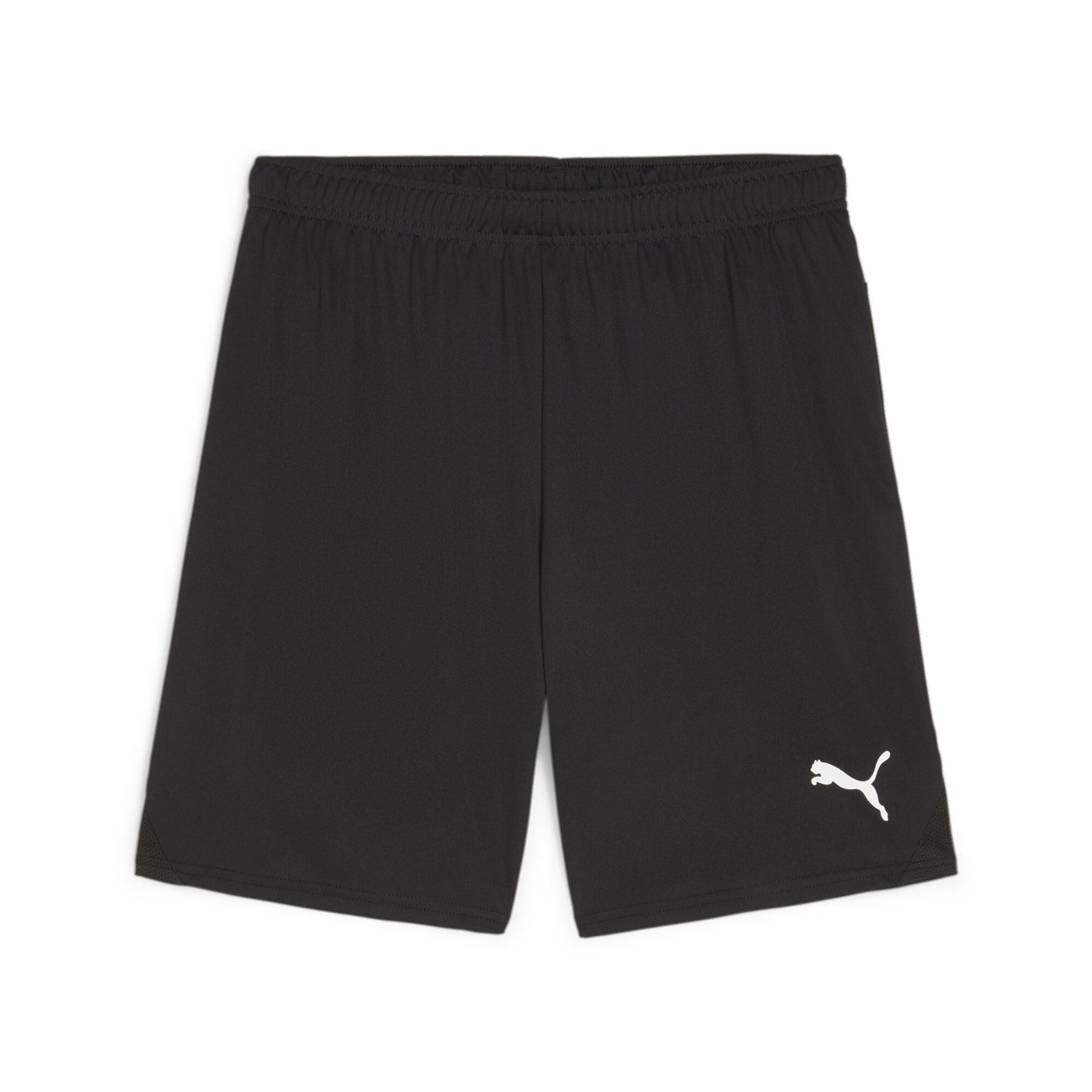 Puma teamGOAL Shorts