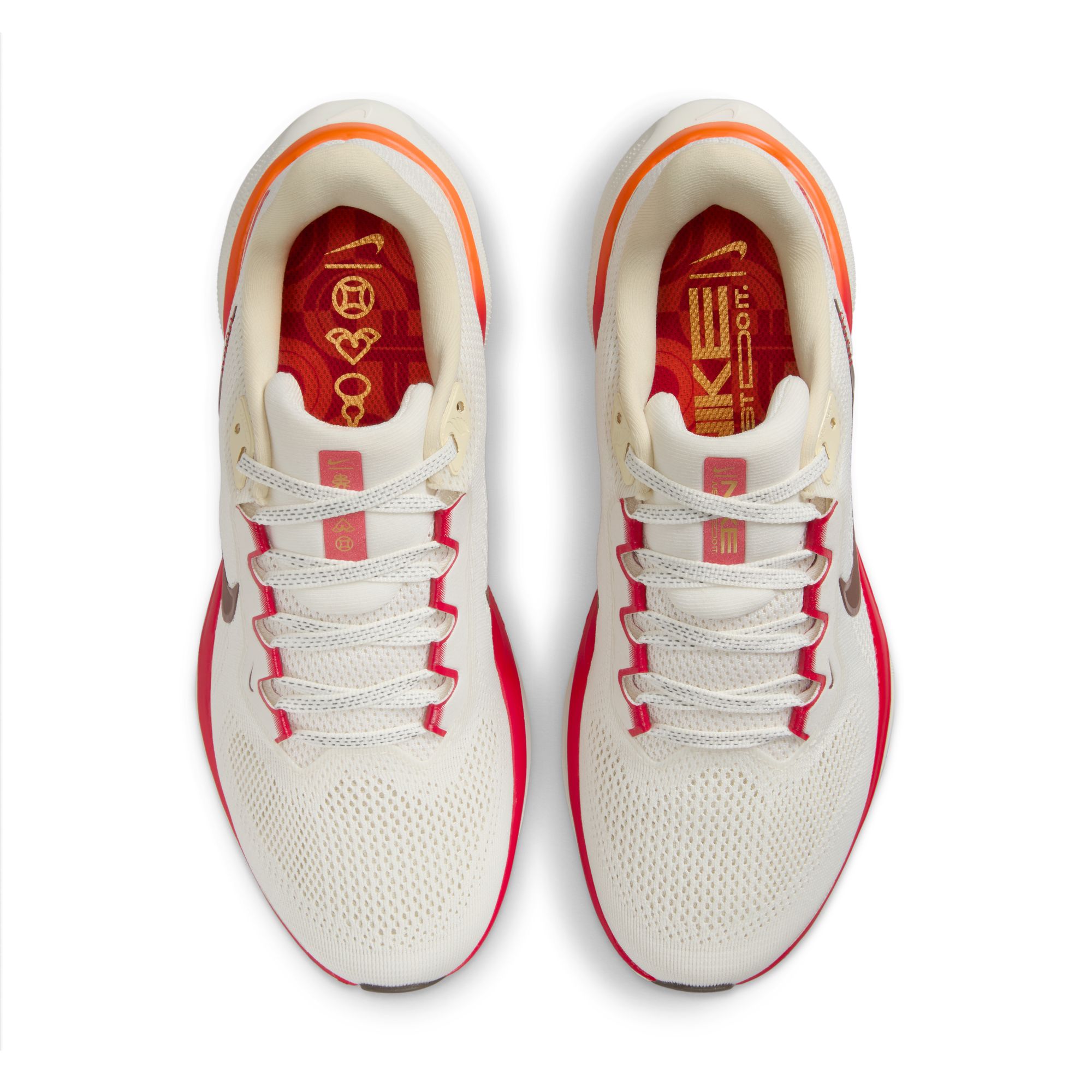 Nike Laufschuhe Air Zoom Pegasus 41 Damen