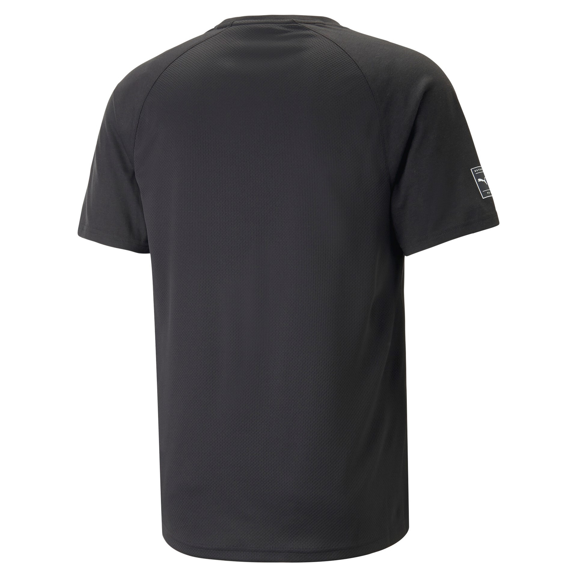 Puma Fit Ultrabreathe Triblend T-Shirt