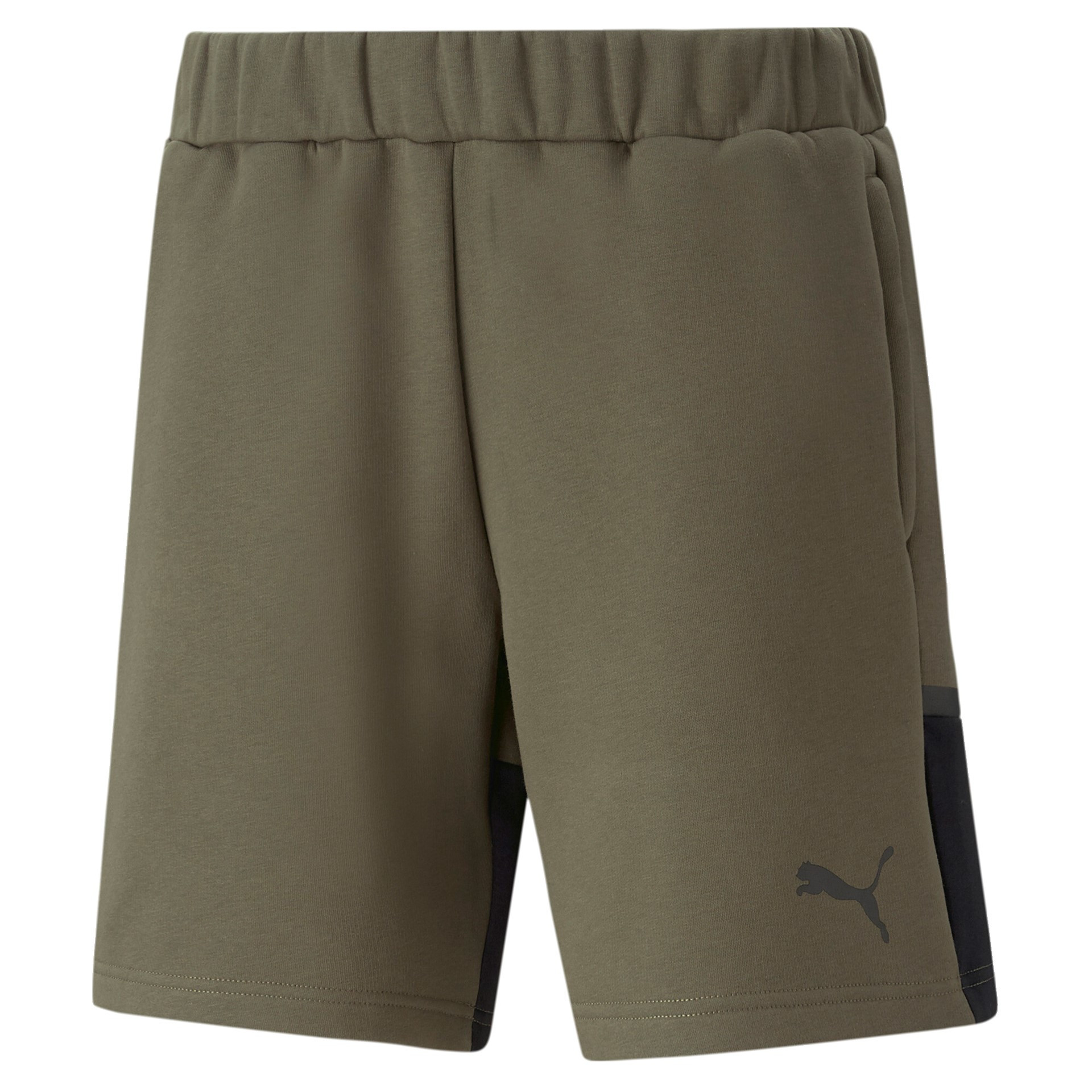Puma TeamCup Casuals Shorts