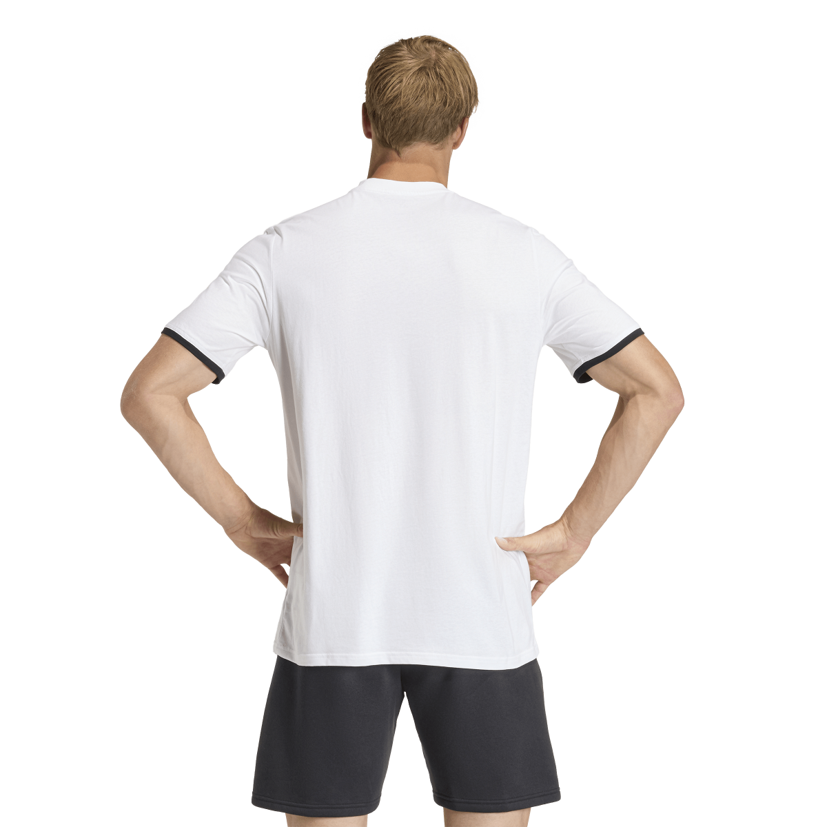 Adidas Entrada26 T-Shirt