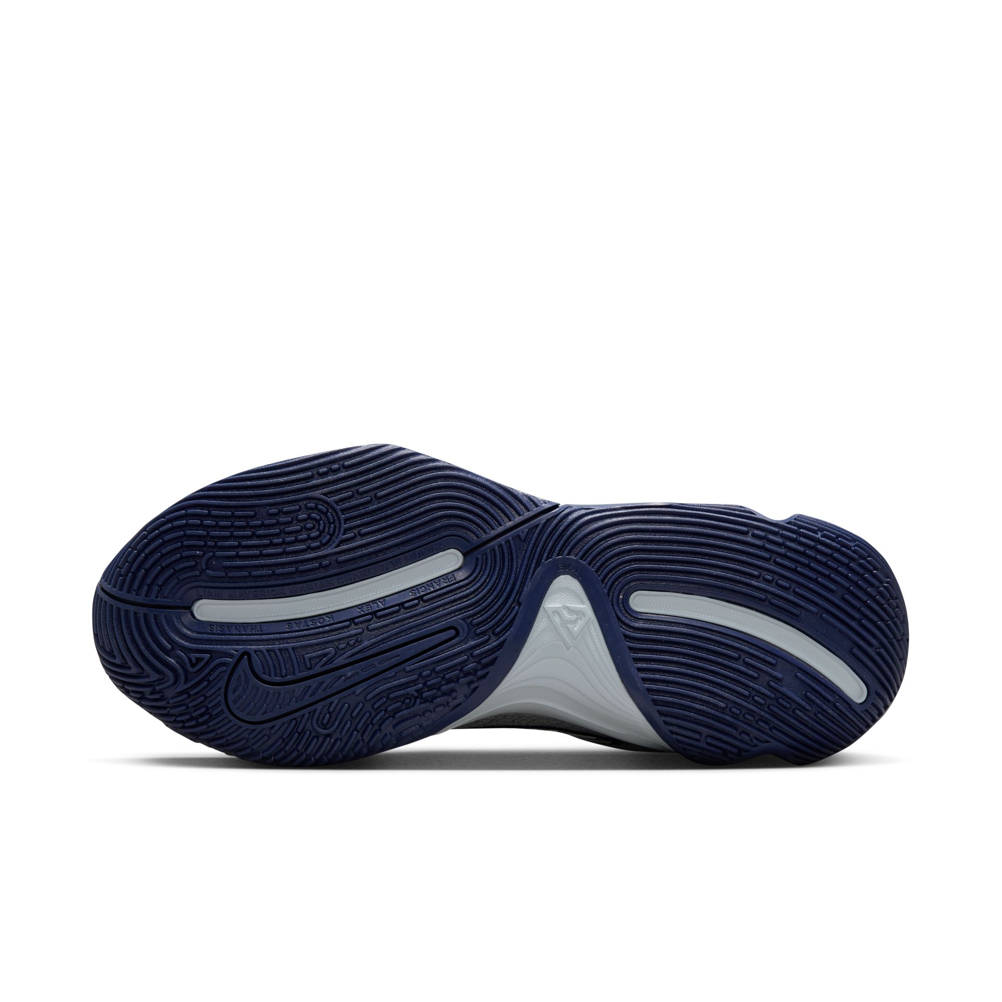 Nike Indoorschuhe Giannis Immortality 4