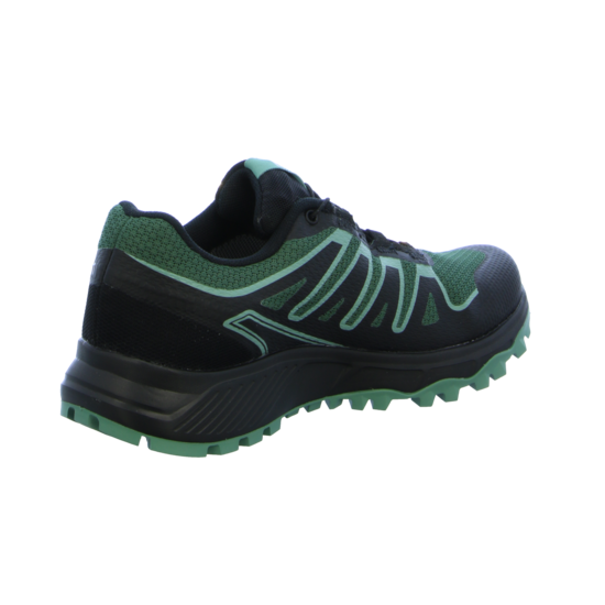 Salomon Laufschuhe Lioneer GTX Damen