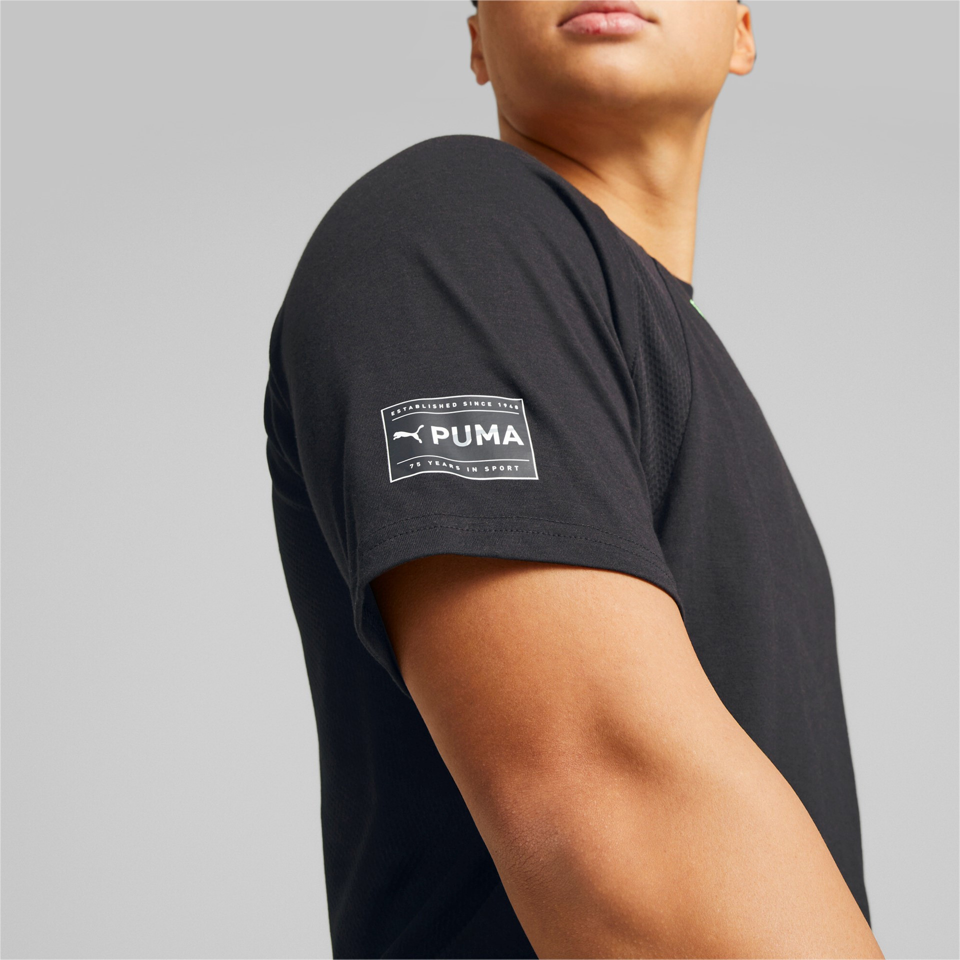 Puma Fit Ultrabreathe Triblend T-Shirt