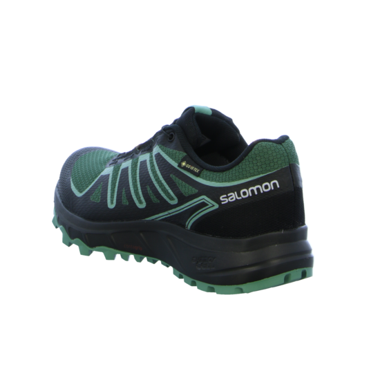 Salomon Laufschuhe Lioneer GTX Damen