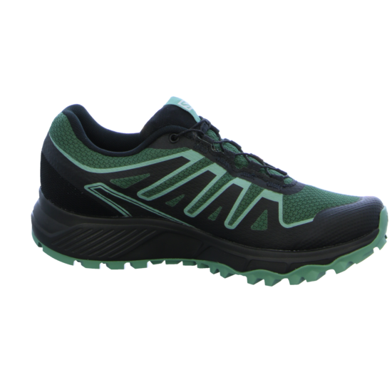 Salomon Laufschuhe Lioneer GTX Damen