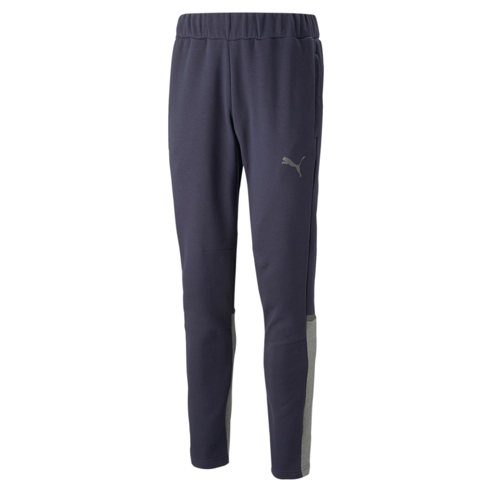 Puma TeamCup Casuals Hose