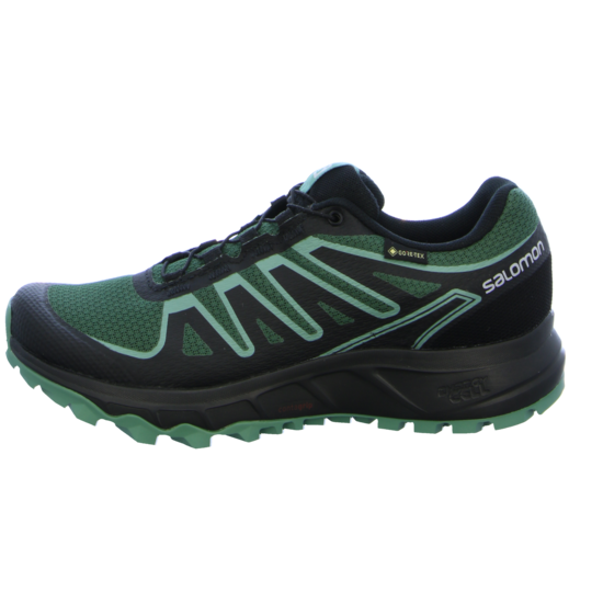 Salomon Laufschuhe Lioneer GTX Damen