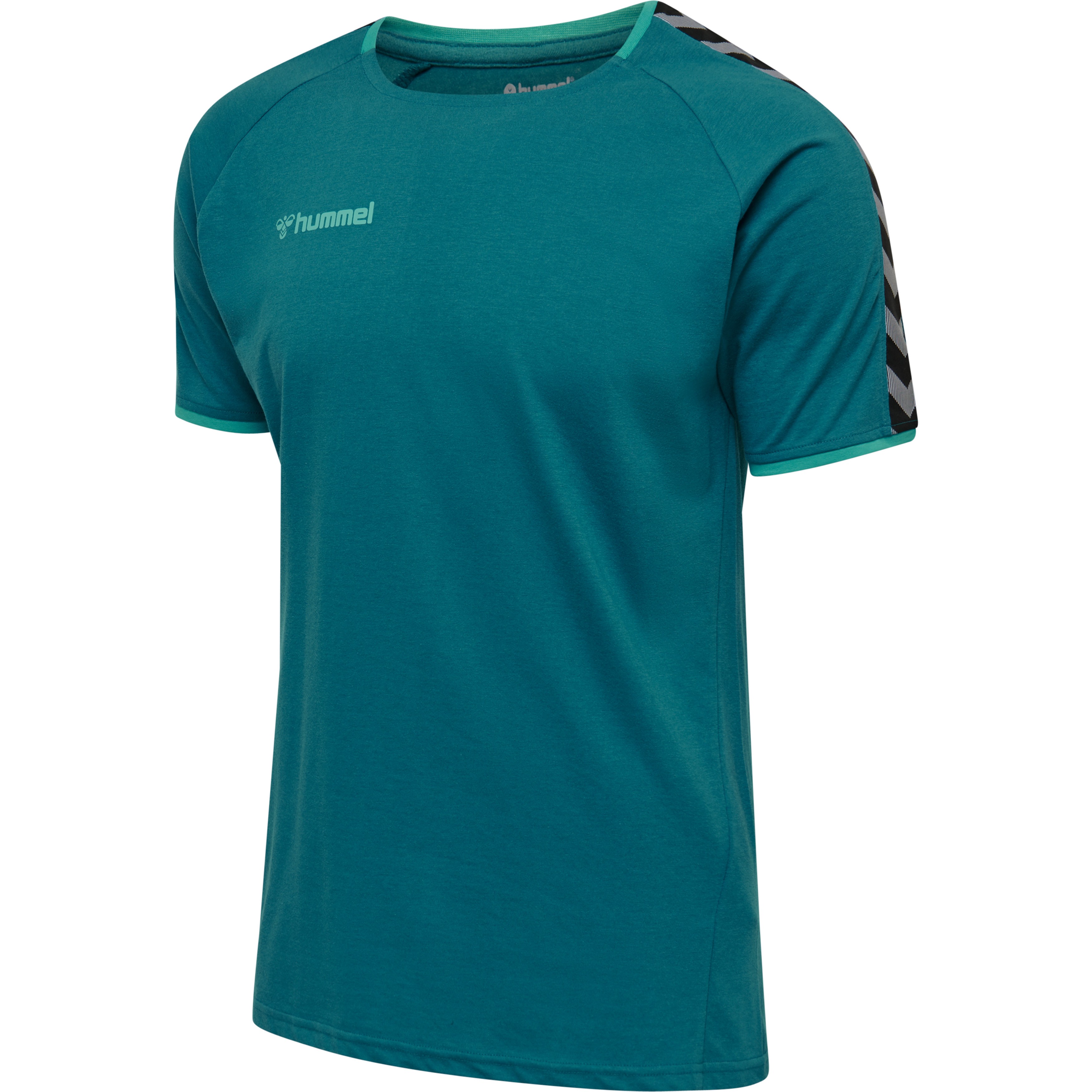 Hummel Hmlauthentic Training Tee