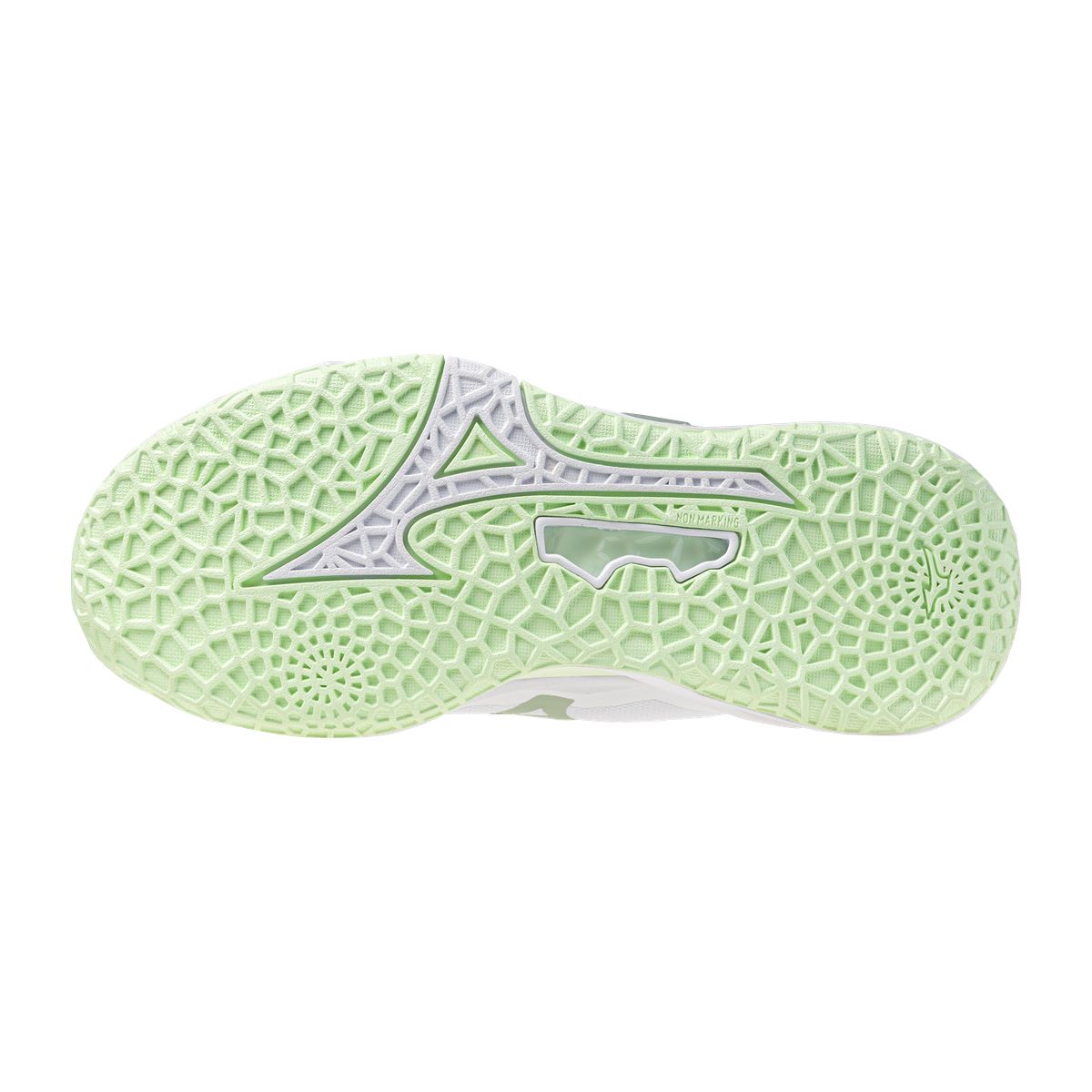 Mizuno Handballschuhe Wave Stealth Neo 2.1 Damen