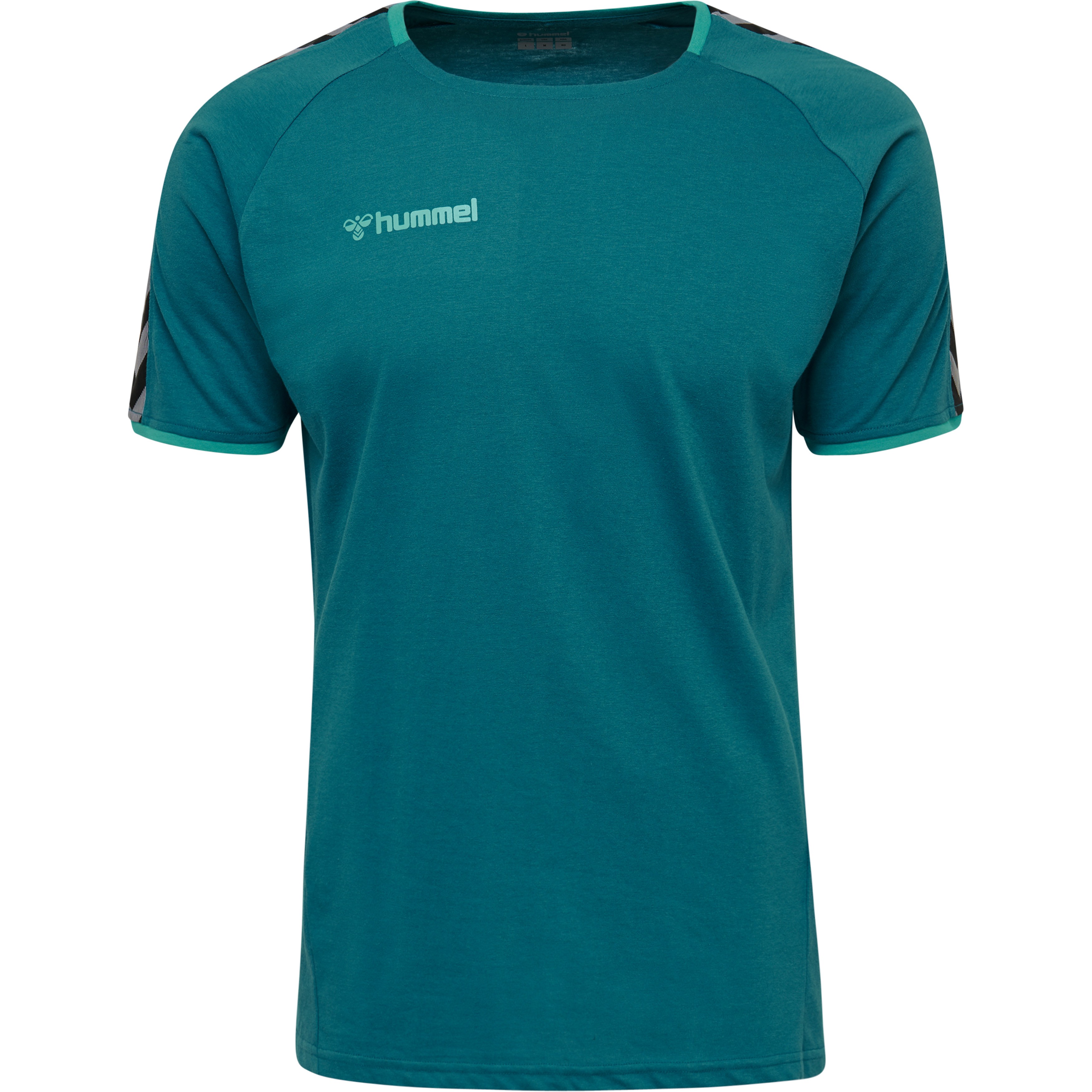 Hummel Hmlauthentic Training Tee
