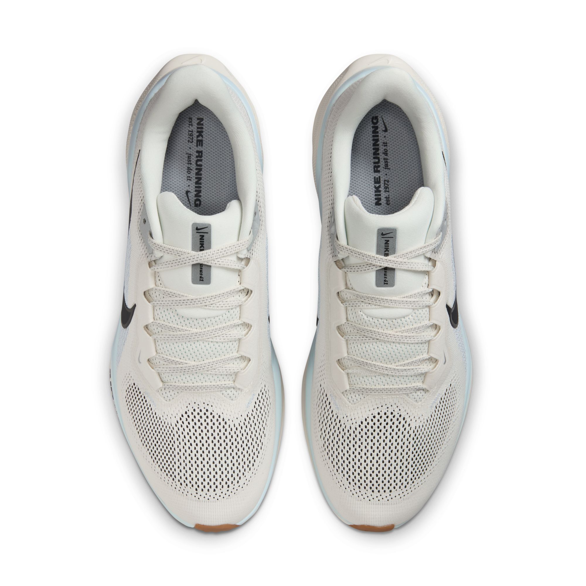 Nike Laufschuhe Pegasus 41
