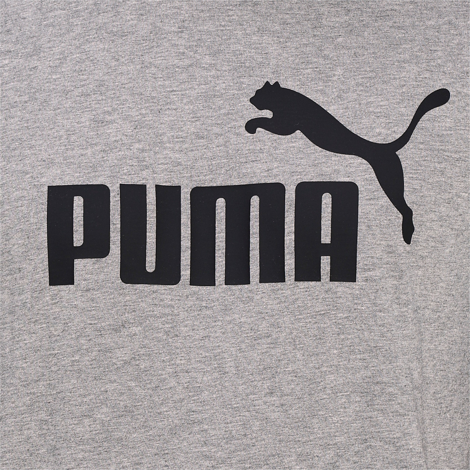 Puma Essentials Logo T-Shirt