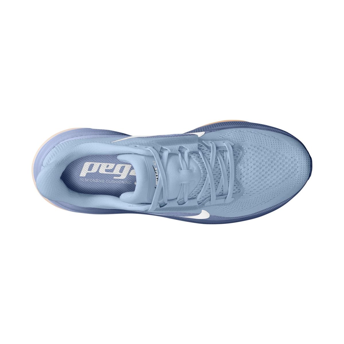 Nike Laufschuhe Air Zoom Pegasus 42 Damen