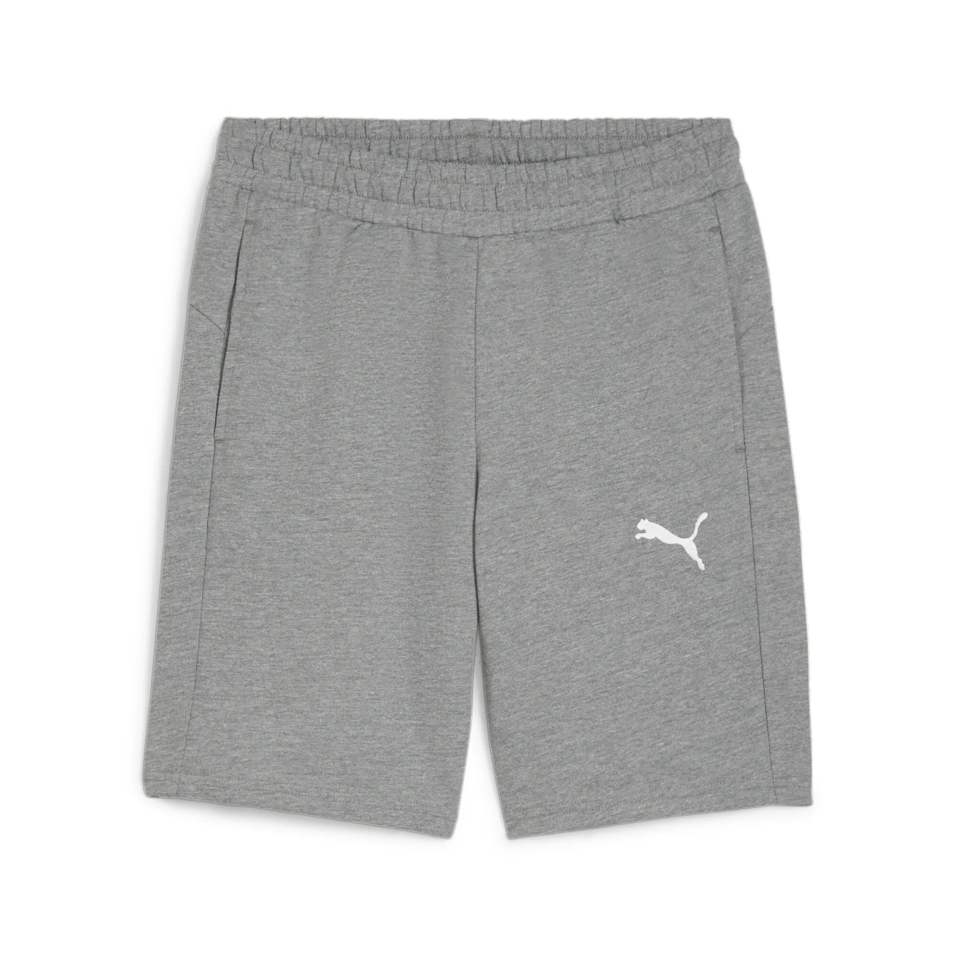 Puma teamGOAL Casuals Shorts